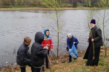 В Павлограде на набережной высадили вербу