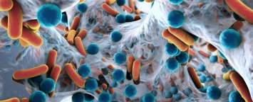 Ученые доказали пользу пробиотиков