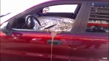 На России разгневанный муж залил бетоном машину жены. ВИДЕО