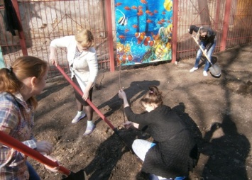 В Одессе обновляют спортплощадки детсадов и школ. Фото
