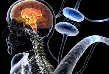 Ученые перепрограммируют клетки мозга для лечения болезни Паркинсона
