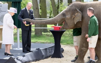 Королева Англии встретилась со своей тезкой- слонихой