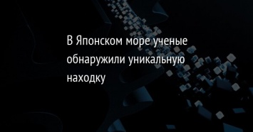 В Японском море ученые обнаружили уникальную находку