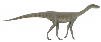 Первые динозавры ходили на четырех ногах - Ученые