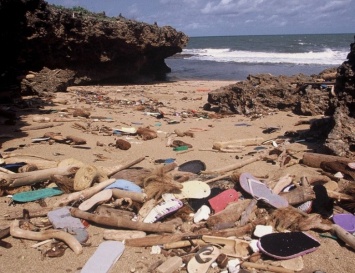 Миллионы выброшенных шлепанцев убивают океан
