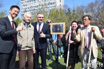 В Николаеве, в честь дружбы Украины и Японии, появилась первая Аллея сакур