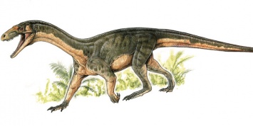 Ученые показали дальнего предка динозавров