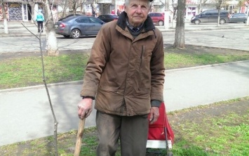 Житель Николаева высадил по всему городу 20000 деревьев