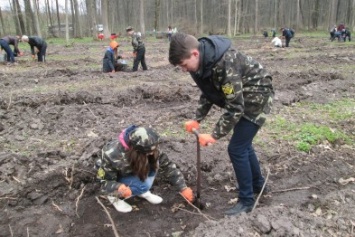 Сумские школьники засадили дубами гектар земли и провели уборку в урочище «Сосняк» (ФОТО)