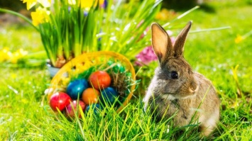 Пасха 2017: почему кролик стал символом праздника