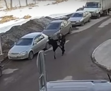 На России неадекватная женщина-водитель напала и избила охранника... ВИДЕО