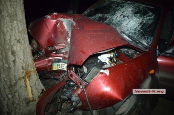 В Николаеве «Ланос» на большой скорости врезался в дерево - водитель погиб