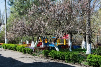 В Николаеве Viber-благотворители установили в детском доме три детские площадки