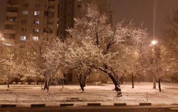 Из-за снега Украина может потерять треть урожая фруктов