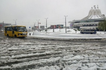 В Днепре уборка поваленных деревьев займет больше 10 дней