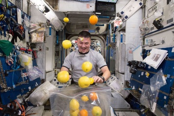 Космонавты решили приготовить на МКС кефир