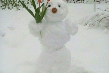 Забавно: В Одесской области слепили самого весеннего снеговика с тюльпанами (ФОТО, ВИДЕО)