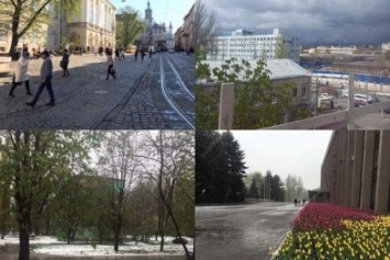 Цветы под снегом или зима в апреле: Какое оно 21 апреля в разных городах Украины (ФОТОРЕПОРТАЖ)