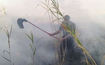 ГСЧС: пожар в Киевской области уничтожил пять домов