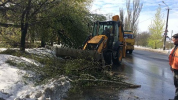 В Днепре убрали почти 3 тысячи упавших в непогоду деревьев