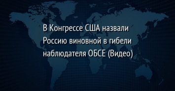 В Конгрессе США назвали Россию виновной в гибели наблюдателя ОБСЕ (Видео)