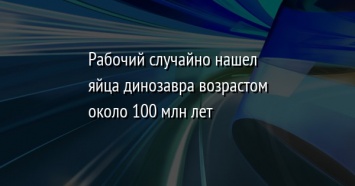 Рабочий случайно нашел яйца динозавра возрастом около 100 млн лет