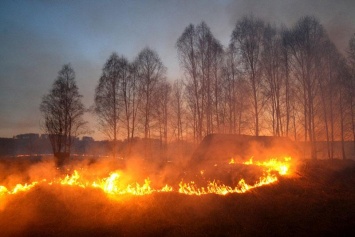 В Сибири местные жители, поджигая траву наперегонки, сожгли деревню