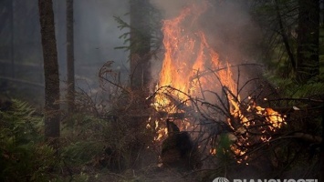 Минобороны привлекло 26 тысяч военных к тушению пожаров в Сибири