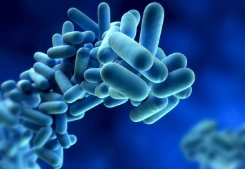 Ученые научились убивать устойчивые к антибиотикам бактерии