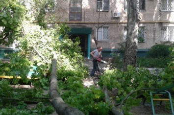 В Мелитополе дерево упало на многодетную мать и коляску с ребенком