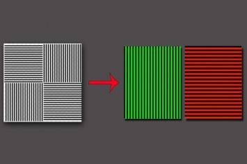 Оптическая забава для интернет-пользователей