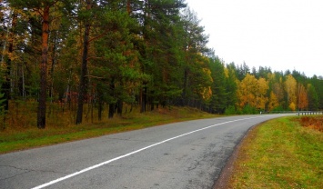 В Волгоградской области родственники закопали старика в лесу и получали за него пенсию