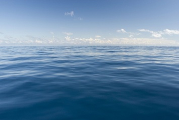 Ученые заметили тревожное снижение кислорода в Мировом океане
