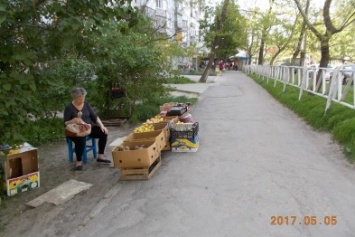 В Херсоне городская власть показательно борется со стихийной торговлей (фото)