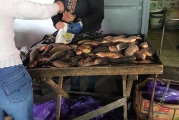 На Херсонщине обнаружен факт незаконной продажи рыбы