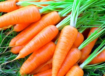 Морковь останавливает рост раковых клеток - Ученые