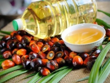Эксперт объяснил, почему в Украину импортируется все больше пальмового масла