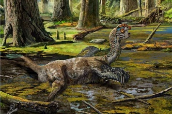 Музейные останки оказались неизвестным видом динозавра