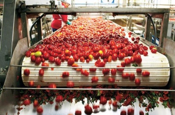 Крупнейший производитель томатной пасты из Николаева привлек кредит в $23 млн