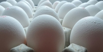 Ученые нашли худшее место для хранения яиц в холодильнике