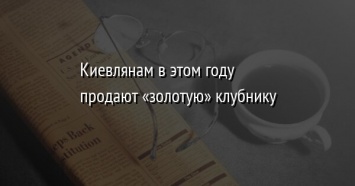 Киевлянам в этом году продают «золотую» клубнику