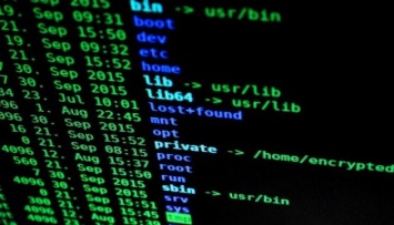 В МВД Германии заявляют, что предупредили кибератаку