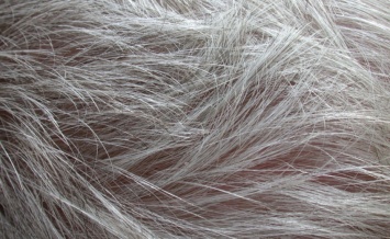 Выявлена причина появления седых волос