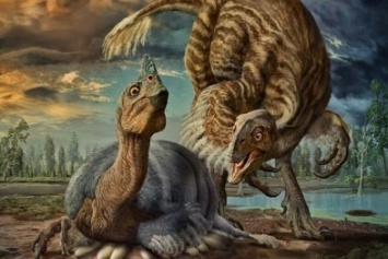 Вокруг света: Ученые открыли новый вид гигантских пернатых динозавров Beibeilong (ФОТО)