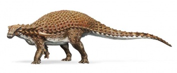 В канадском музее выставили пятиметрового окаменелого динозавра