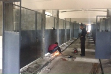 В Кривом Роге в приюте для бездомных животных установили двери в вольерах и отремонтировали крышу (ФОТО)