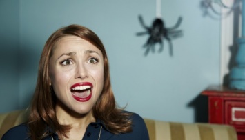 Ученые: Боязнь пауков является защитным эволюционным механизмом