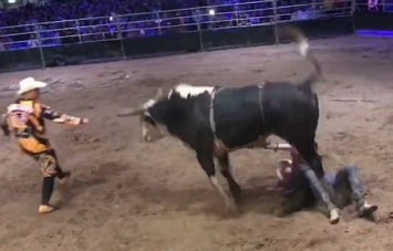 Родео - штука опасная: бык не только сбросил 24-летнего ковбоя, а и нанес ему значительные повреждения