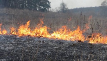 В Лисичанске из-за ночного костра горела огромная площадь