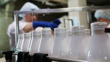 Российские ученые разработали препарат, повышающий пищевую ценность молока
